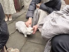 -两江国际影视城