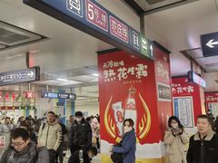 -宋家庄(地铁站)