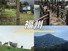 -大姆山草场
