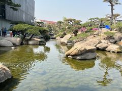 -罗红摄影艺术馆