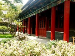 -碑林公园