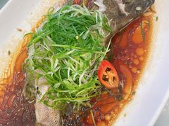 清蒸青斑鱼-幸运楼(北京路店)