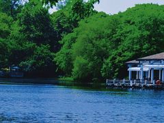 -上海共青森林公园