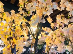 -莫太花餐厅(河北路店)