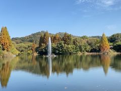 -柯岩风景区
