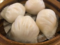招牌虾饺皇-添运来(茶园奥园广场店)