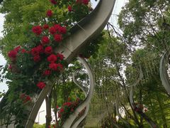 -武汉园博园(武汉自然博物馆)