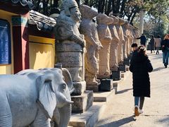 -海东龙宫寺