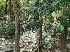 -龙湾潭国家森林公园