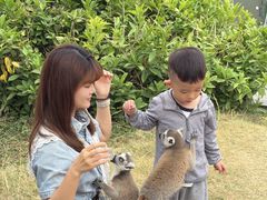 -泉州海丝野生动物世界
