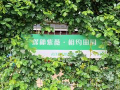 -武汉紫薇都市田园