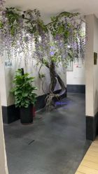 -盘子女人坊生日照·摄影馆(华强店)