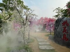-靖西鹅泉风景区
