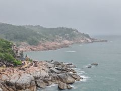 -广东惠东海龟国家级自然保护区