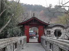 -老张烤羊(王哥庄店)