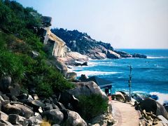 -广东惠东海龟国家级自然保护区