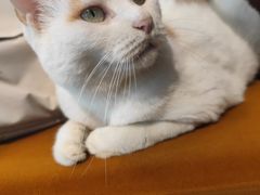 -B.O.M波姆烘焙(凤凰街店)