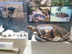 -上海中国航海博物馆