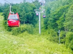 -长白山万达喜来登度假酒店