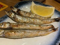 -吉川居酒屋(建国北路店)