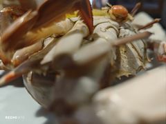 -三个渔夫·蒸汽海鲜(小白楼店)