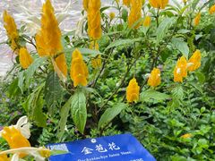 -中国科学院西双版纳热带植物园