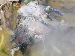 -活鱼村·老陈记粉店