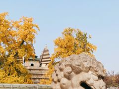 -北京石刻艺术博物馆(五塔寺)