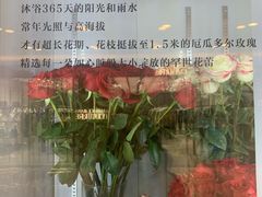 -ROSEONLY诺誓(国际广场购物中心店)