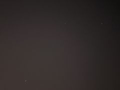 -合肥滨湖国家森林公园