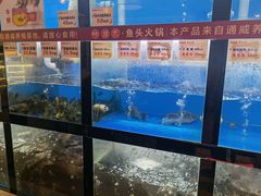 菜单-味当家鱼头火锅.•甲鱼料理(金沙店)