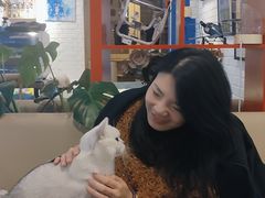 -花与咖啡馆(金星楼店)
