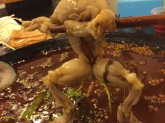 -鸿顺老铁锅美蛙鱼府(解放碑店)