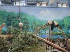 -杭州少年儿童公园