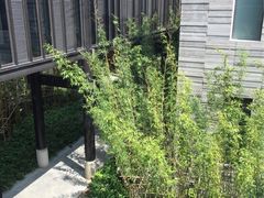 -上海崇明金茂凯悦酒店