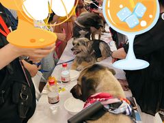 -远洋未来广场(育慧北路店)