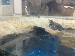 -梦幻海洋王国(吾悦广场张家港店)