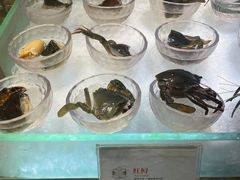 -半岛翡丽海鲜自助餐厅(观风亭店)