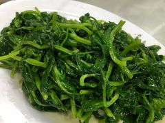 炒豌豆尖-雨田饭店(华兴东街店)