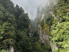 -苍山感通索道
