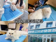 -美联众合爱康动物医院•复杂内科•肿瘤科•牙科•腔镜诊疗中心