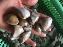 -乡味海鲜农家菜·巽寮土窑鸡(地道美食店)