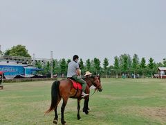 -武汉紫薇都市田园