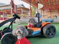 -韶关经律论国际酒店温泉