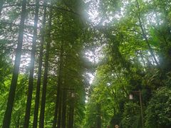 -青城山
