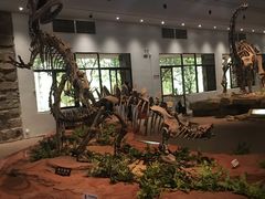 -自贡恐龙博物馆