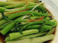 白灼菜心-红高粱大酒店(宁山东路店)