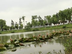 -艾溪湖湿地公园