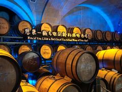 -龙谕酒庄