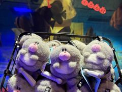 -大连圣亚海洋世界